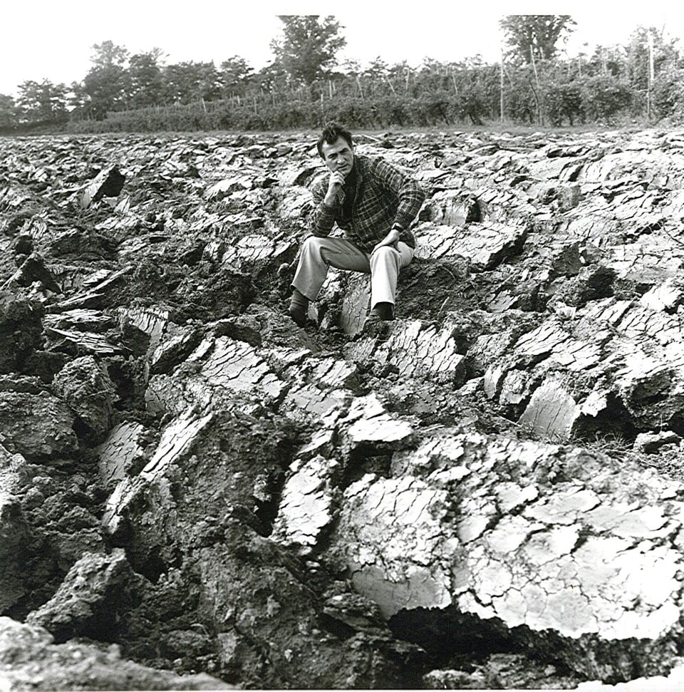 Carlo Zauli – Terra che rivive